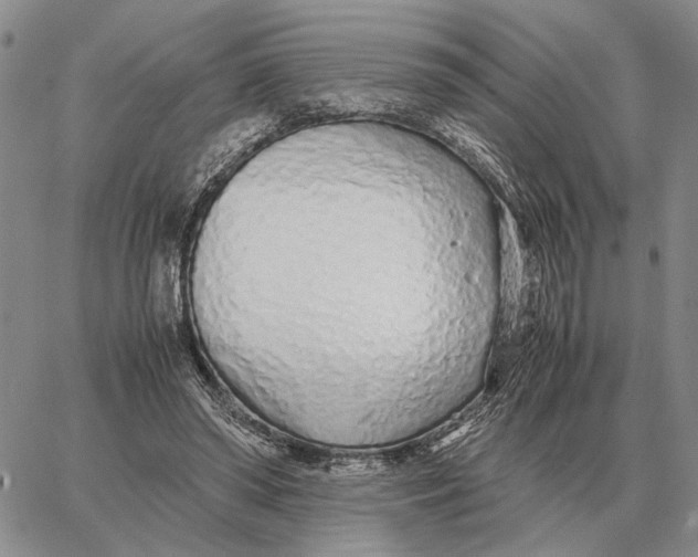 X0000062880398200602031747