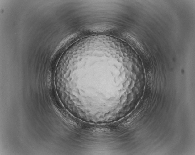 X0000062880400200602031747