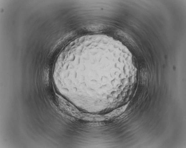 X0000062880404200602031747