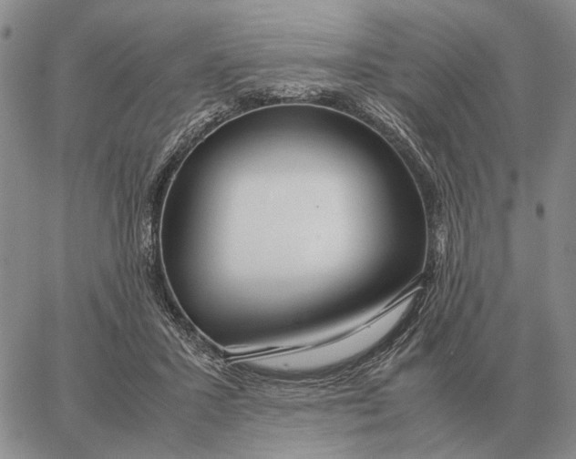X0000062880407200602031747