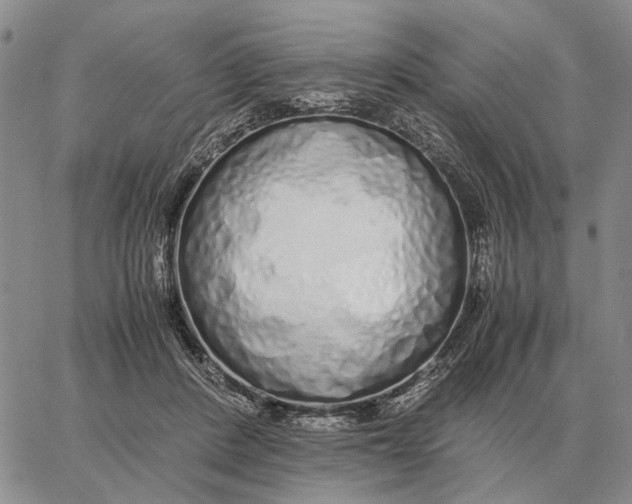 X0000062880408200602031747