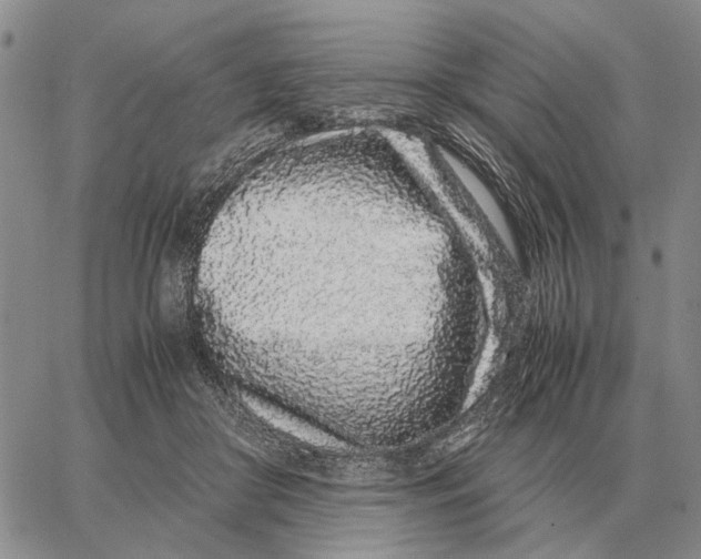 X0000062880410200602031747