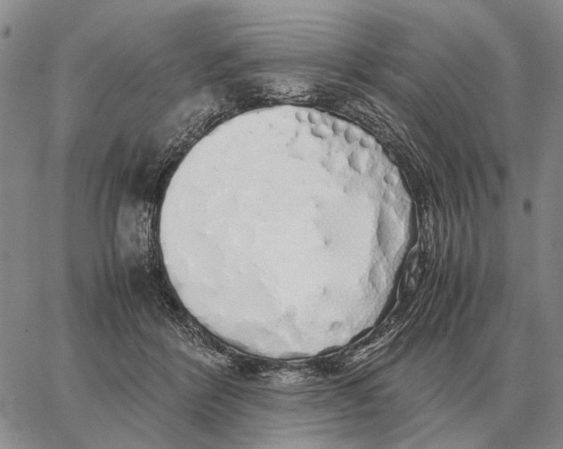 X0000062880412200602031746