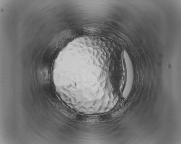 X0000062880420200602031746