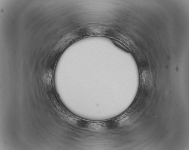X0000062880423200602031746