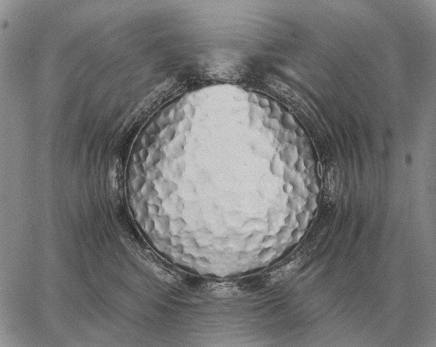 X0000062880424200602031746