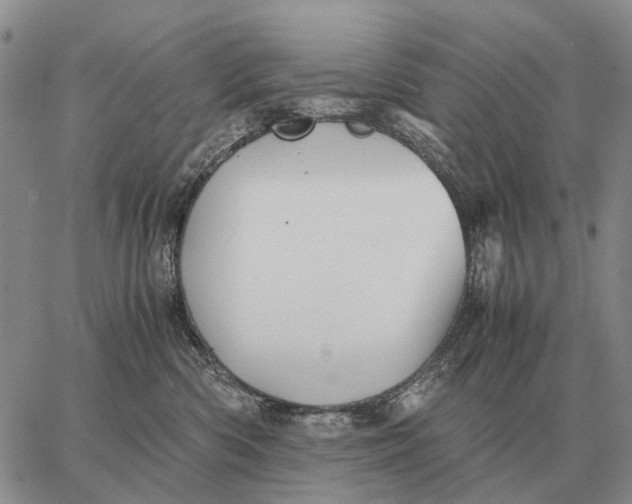 X0000062880426200602031746