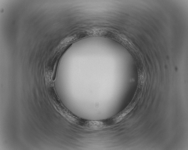 X0000062880429200602031746