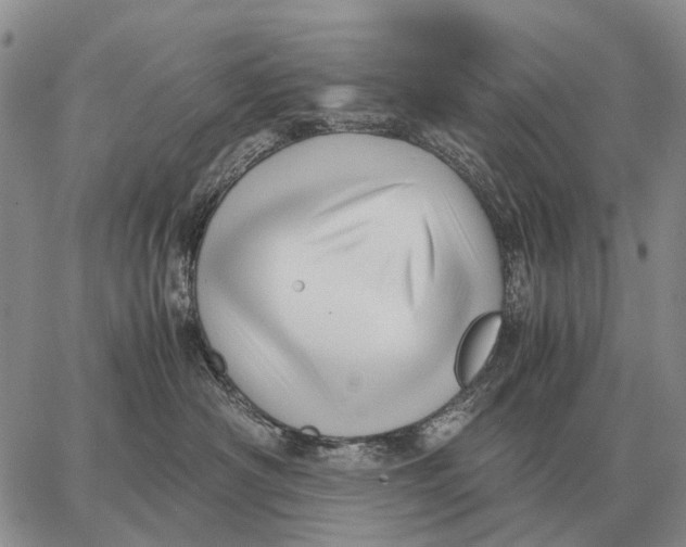 X0000062880430200602031746