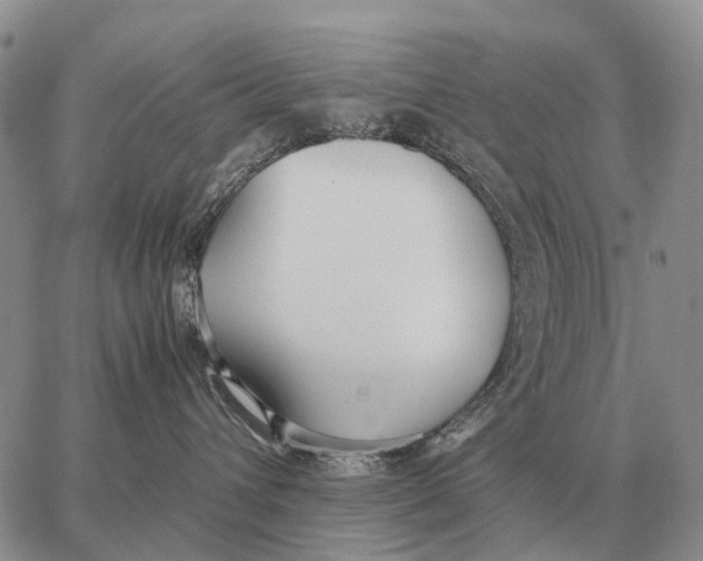 X0000062880432200602031746