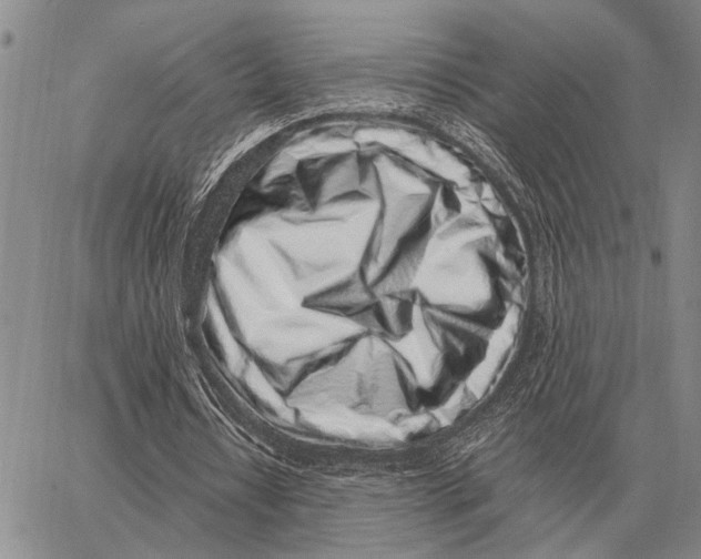 X0000062880434200602031745