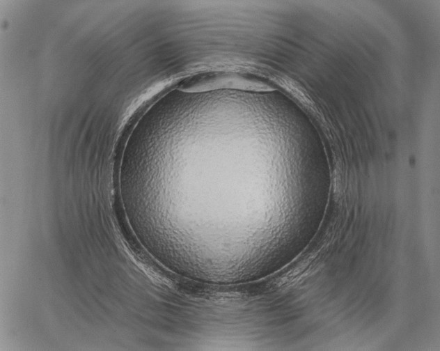 X0000062880438200602031745