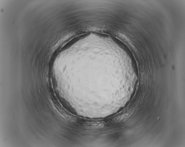 X0000062880443200602031746