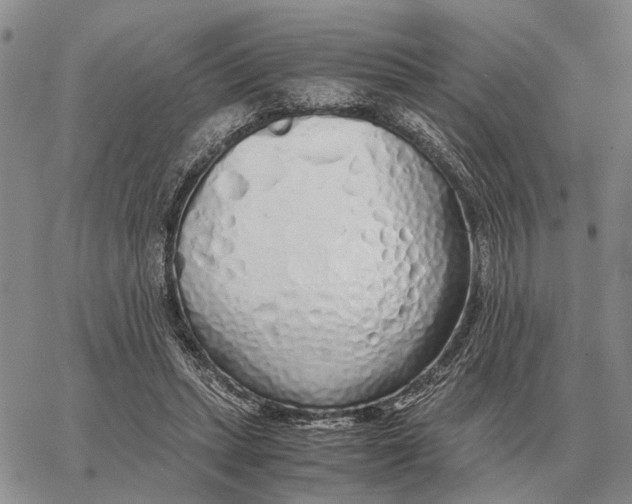 X0000062880447200602031746