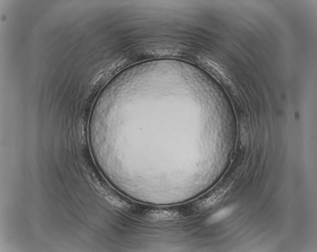 X0000062880453200602031746