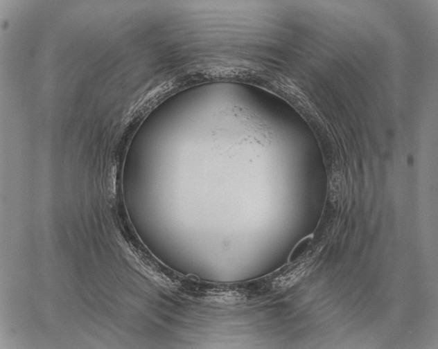 X0000062880454200602031746