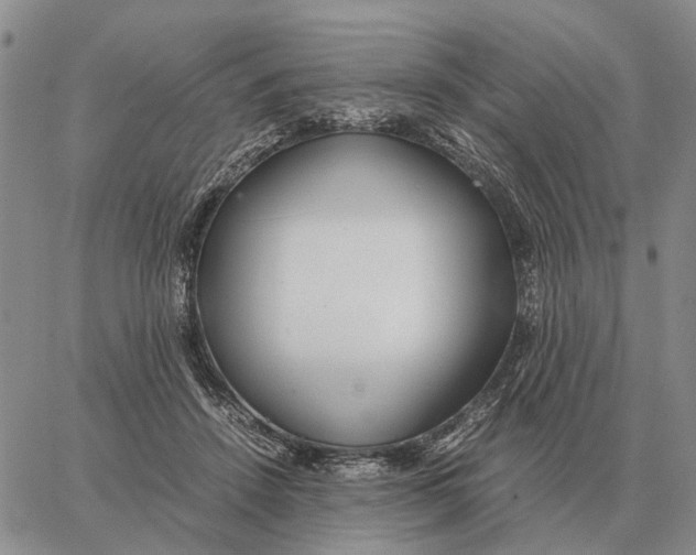 X0000062880456200602031746