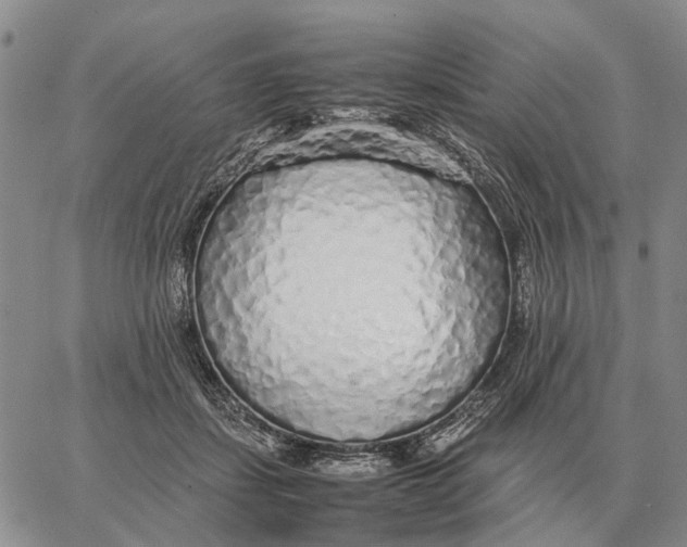 X0000062880459200602031746
