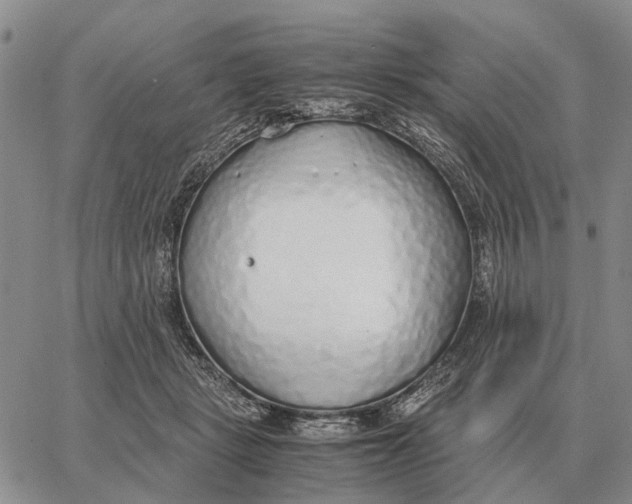 X0000062880461200602031746