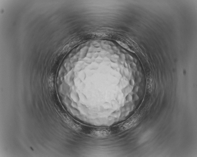 X0000062880466200602031746