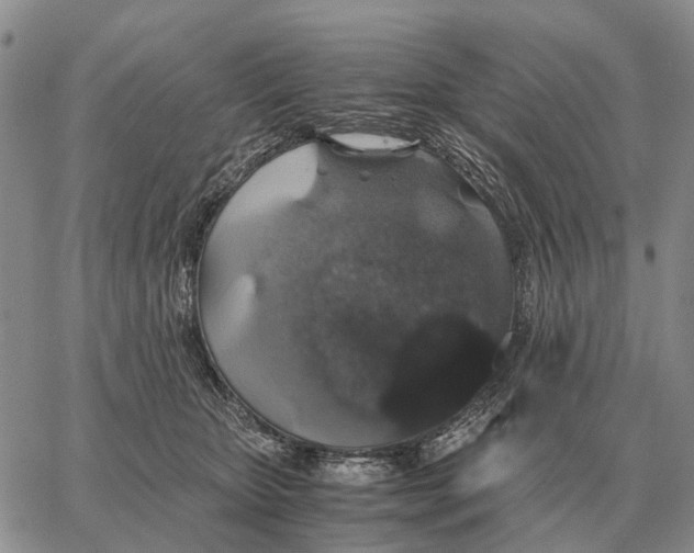 X0000062880467200602031746