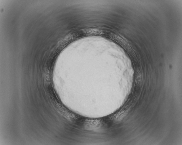 X0000062880469200602031746