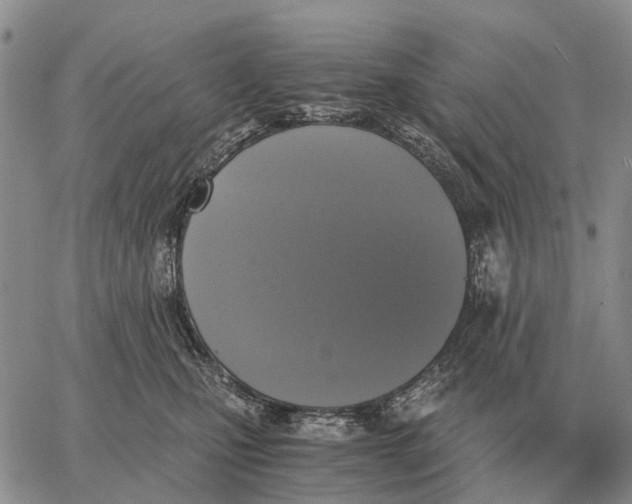 X0000062880471200602031746