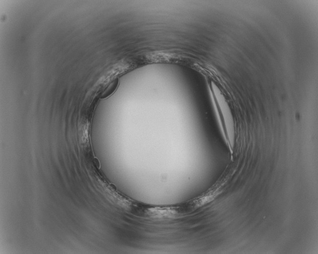 X0000062880477200602031746