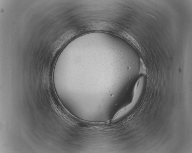 X0000062880482200602031745