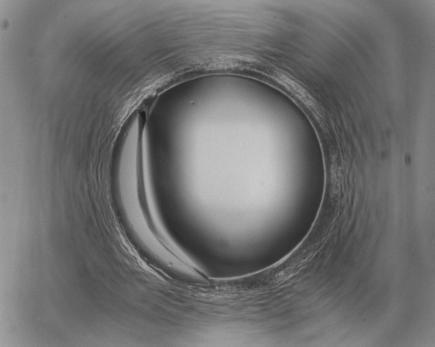 X0000062880485200602031745