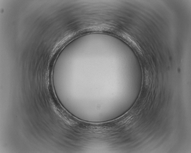 X0000062880486200602031745