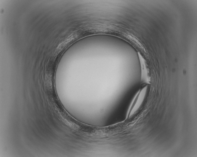 X0000062880489200602031745