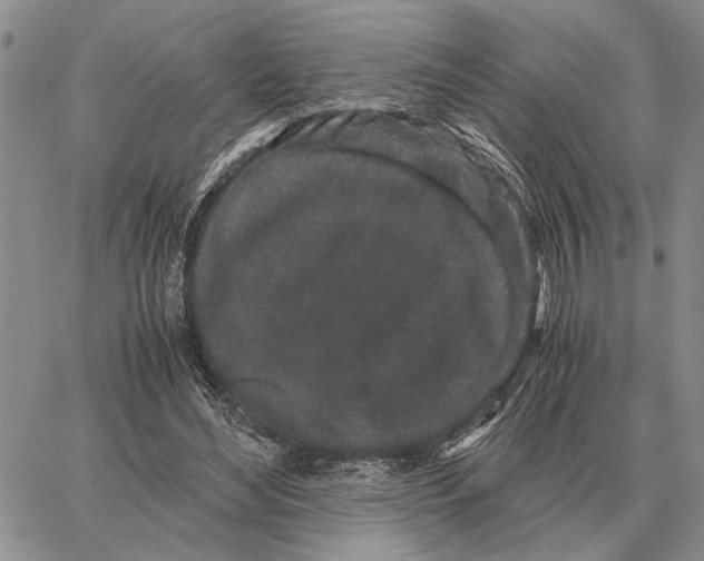 X0000062880492200602031745