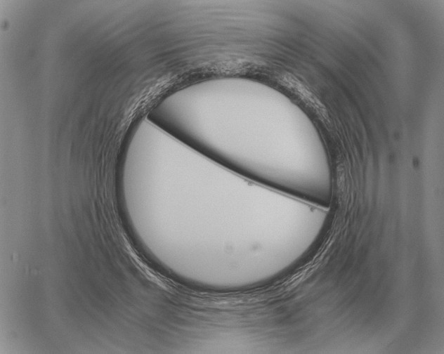 X0000062880493200602031745