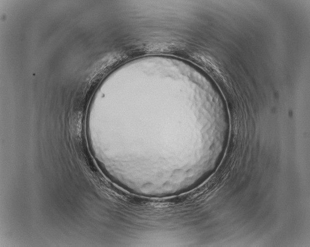 X0000062880495200602031745
