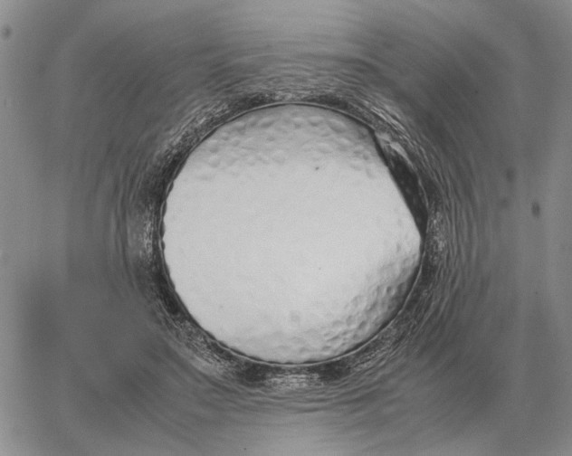 X0000062880499200602031745