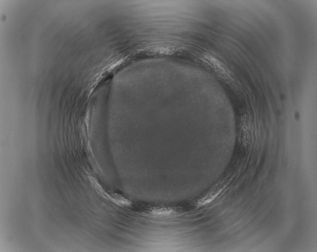 X0000062880500200602031745