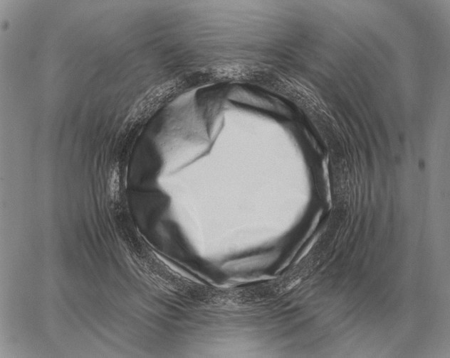 X0000062880502200602031745
