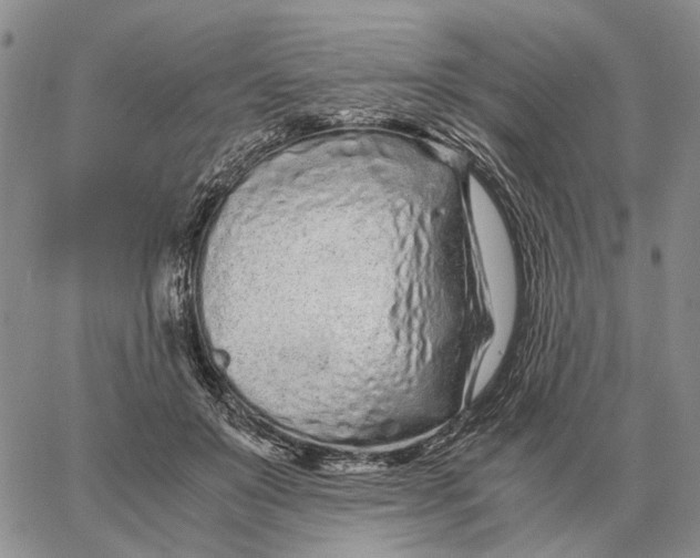 X0000062880503200602031745