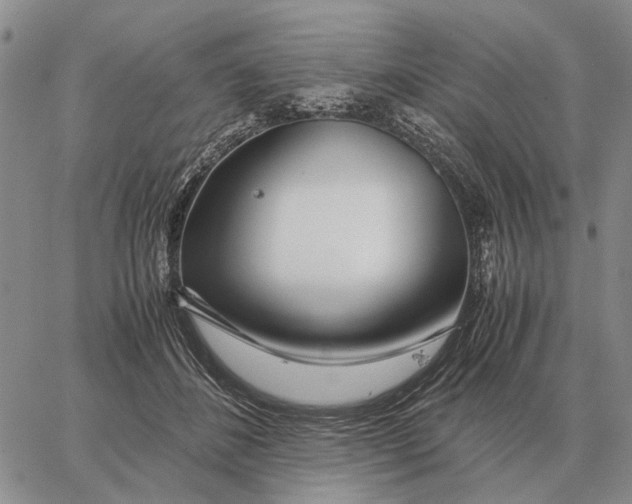 X0000062880508200602031745