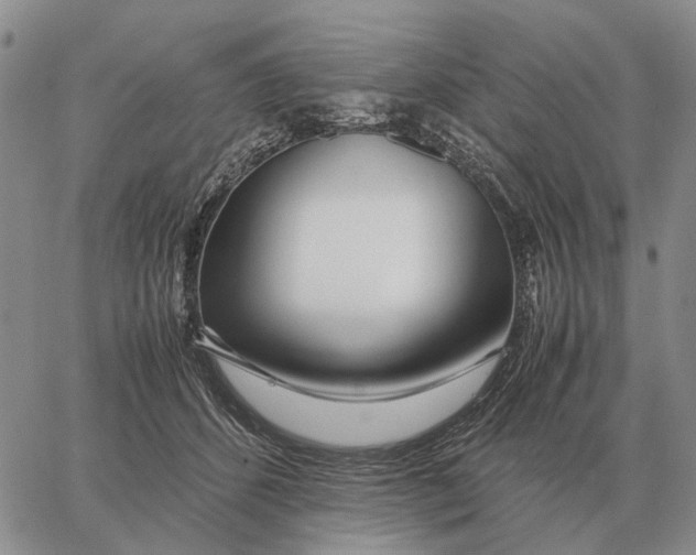 X0000062880512200602031745