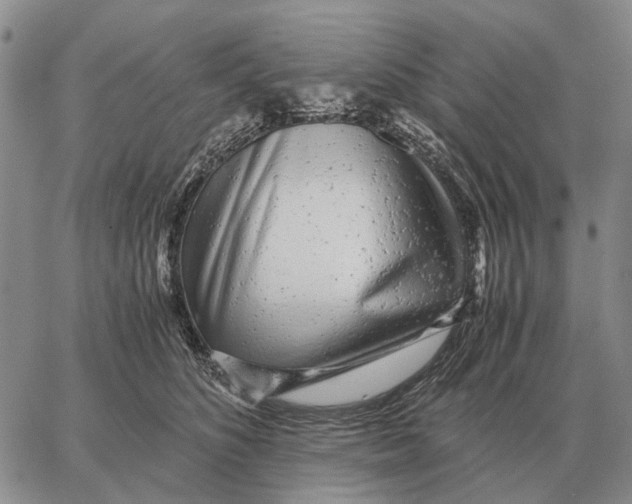 X0000062880516200602031745