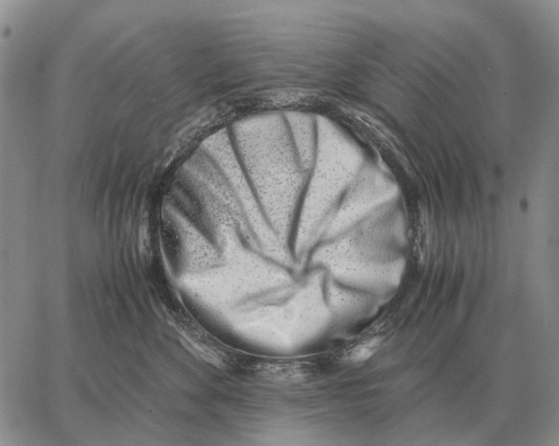 X0000062880524200602031745