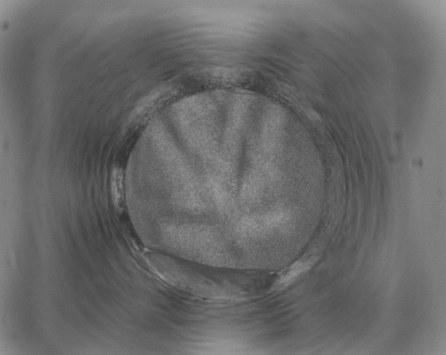 X0000062880528200602031745