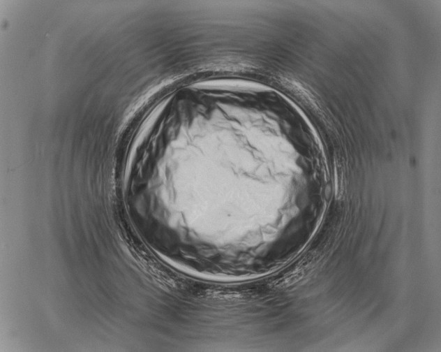 X0000062880531200602031744