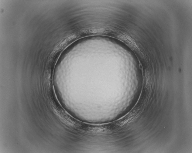 X0000062880542200602031744