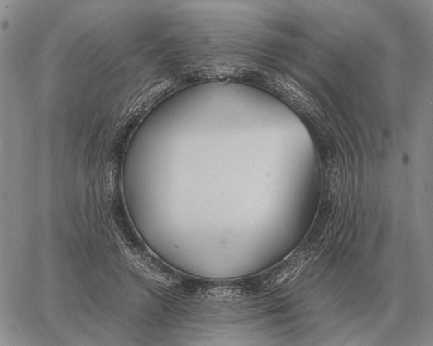 X0000062880546200602031744