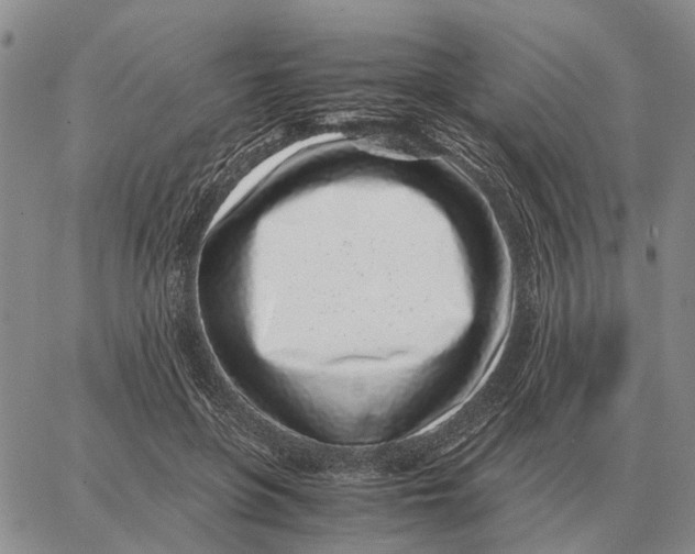 X0000062880551200602031744