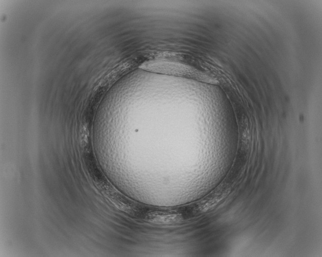 X0000062880555200602031744