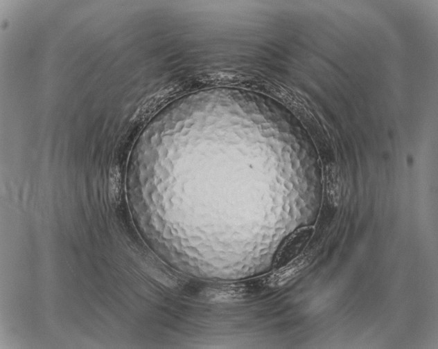X0000062880563200602031744